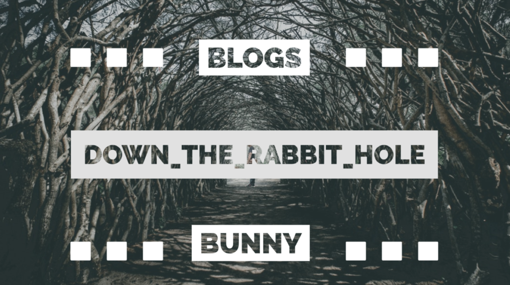 A Review of BlogsBunny