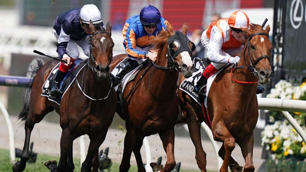 What To Expect From This Year's Melbourne Cup