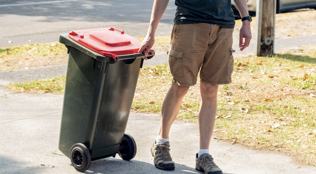 How to Keep Your Wheelie Bins Clean