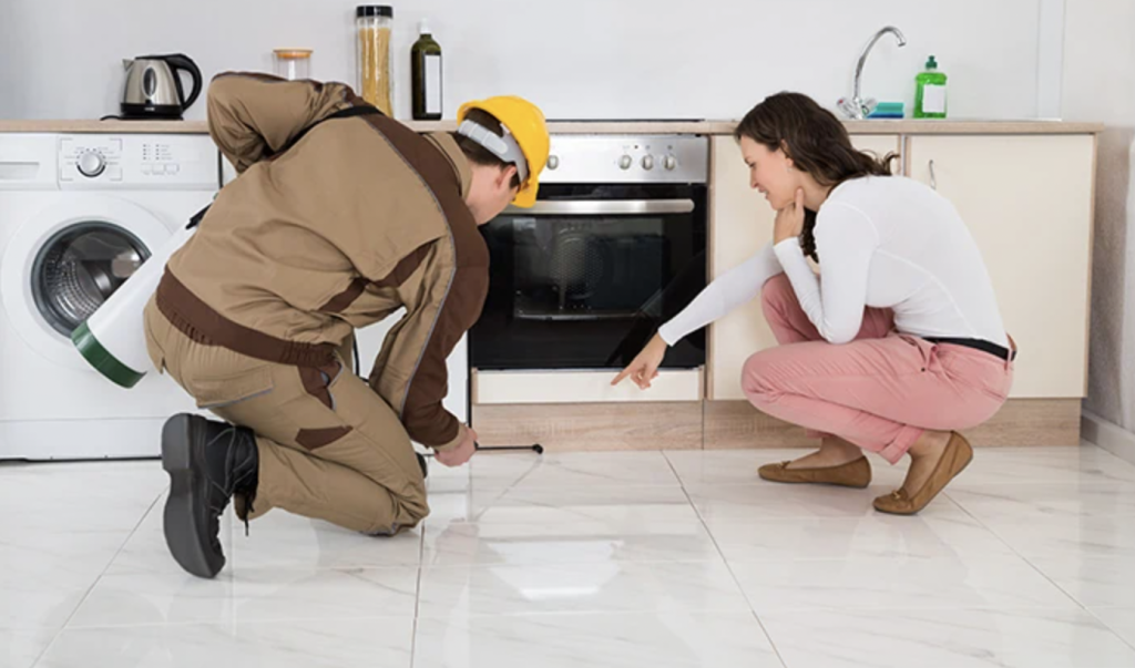 How can Effective Pest Control keep your Family Safe?