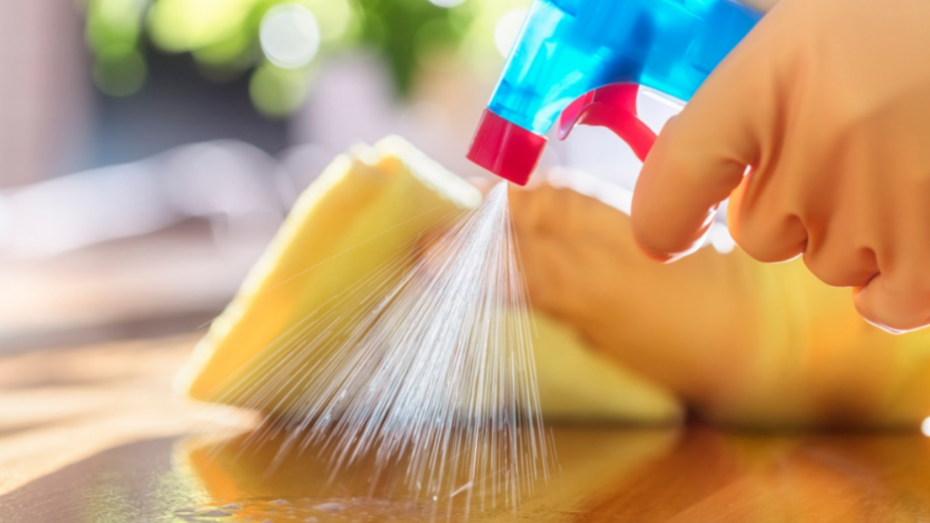 Why It's a Perfect Idea to Hire a Professional House Cleaning Company