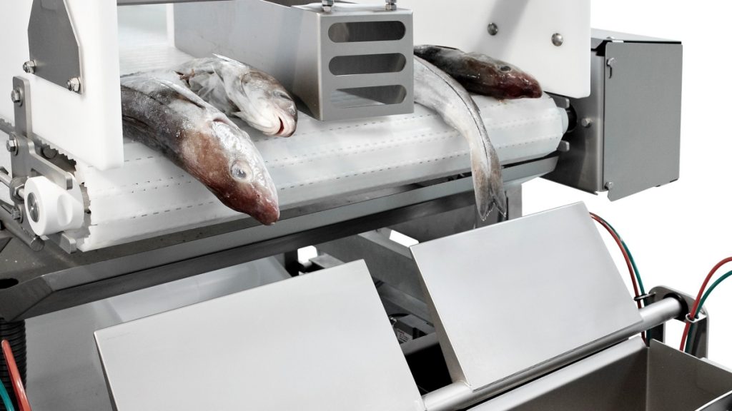 Top 5 Fish Processing Equipment Brands in the World