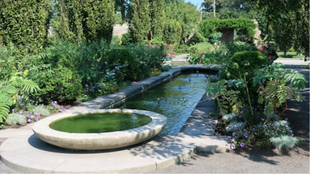 5 Stunningly Good Reasons to Invest in a Water Feature in Your Garden