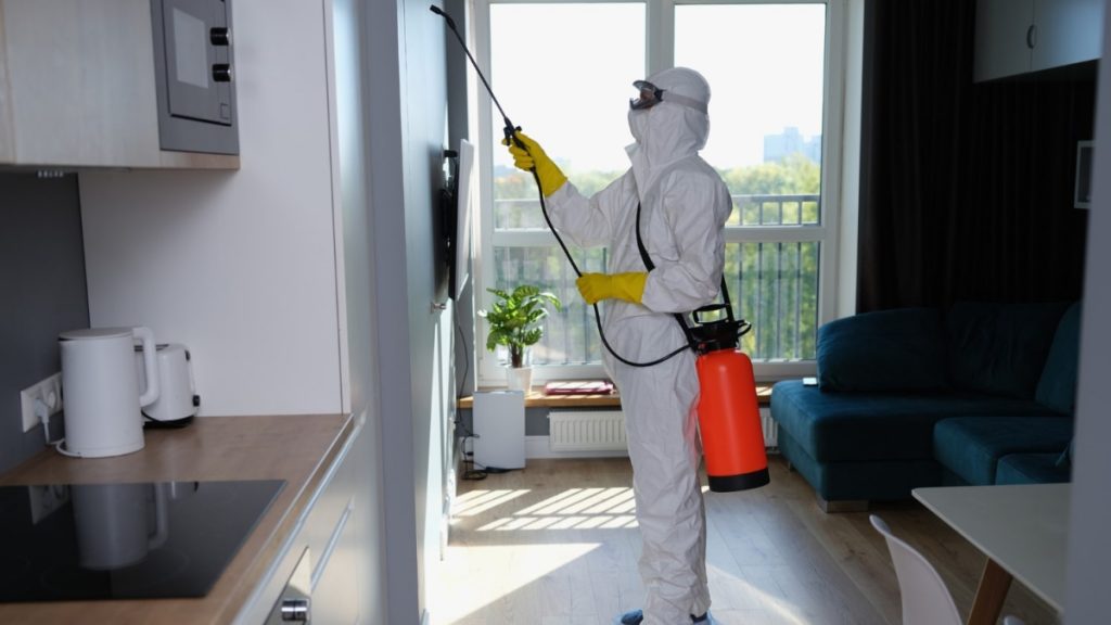 How Does Regular Pest Control Save Your House?