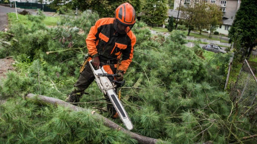 Choosing the Right Helmet for Chainsaw Safety